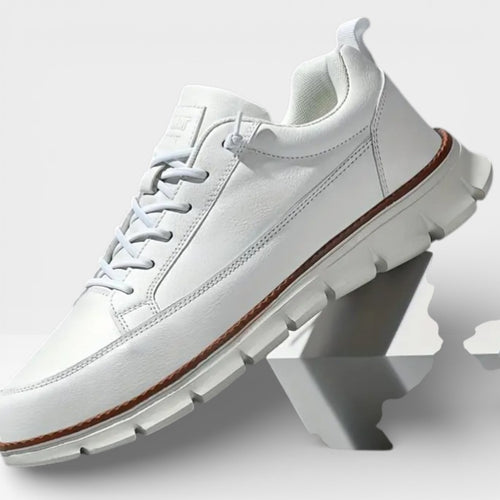 Alejandro – Zapatilla Urban Leather
